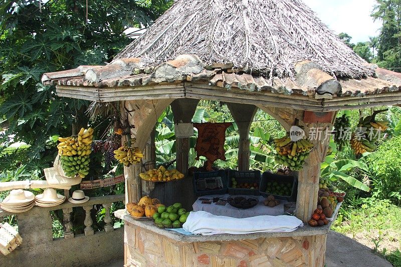 古巴- Topes del Collantes- fruit kiosque